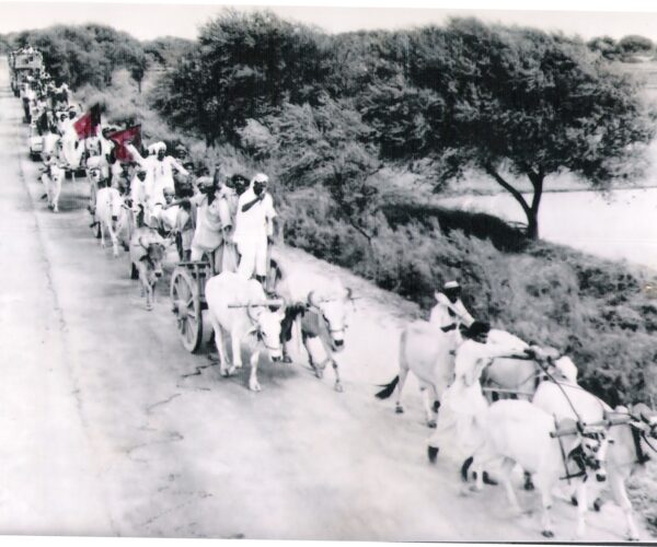 Fazil_raho_pictures (13)